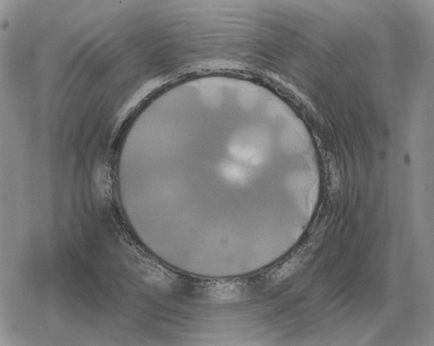 X0000079321266200612151808