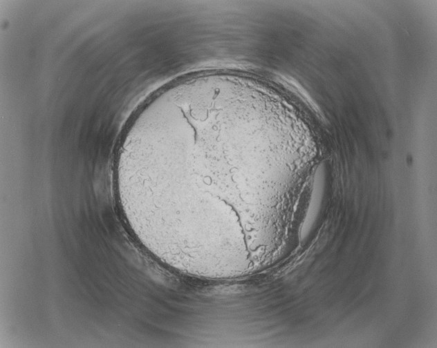 X0000079321268200612151808