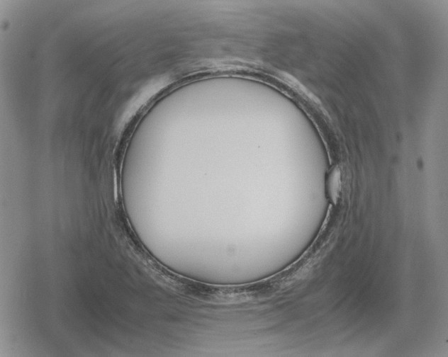 X0000079321269200612151808