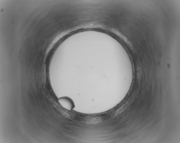 X0000079321270200612151808