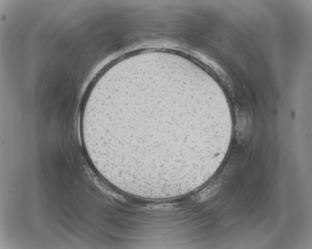 X0000079321272200612151808