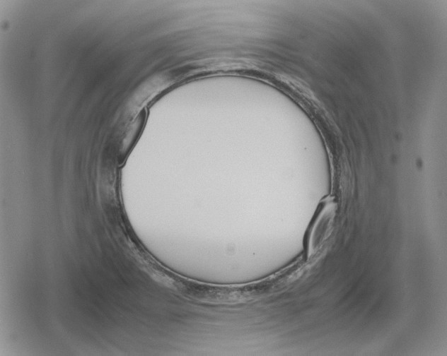 X0000079321273200612151808