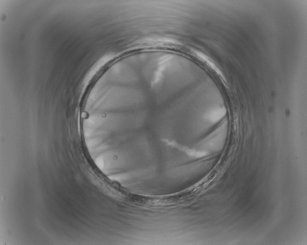 X0000079321275200612151808