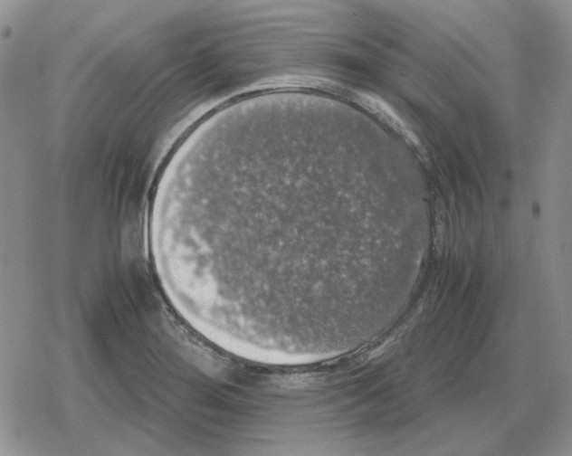 X0000079321276200612151808