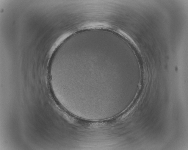 X0000079321277200612151808