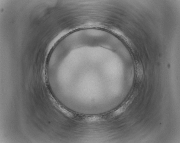 X0000079321278200612151808