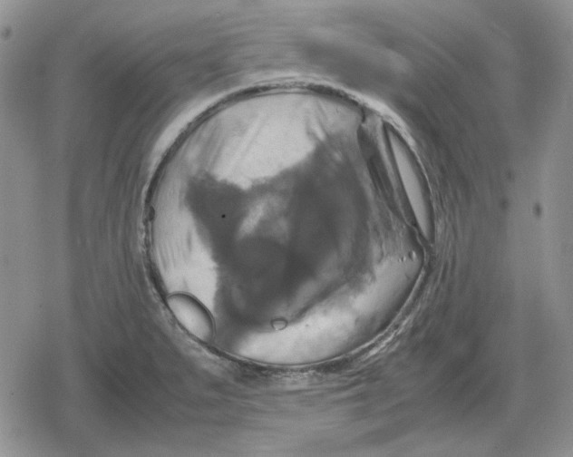 X0000079321279200612151808