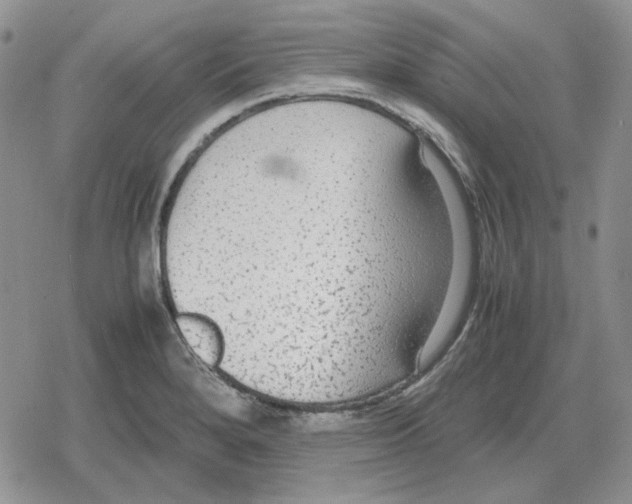 X0000079321280200612151808