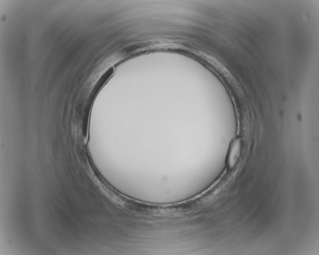 X0000079321281200612151808