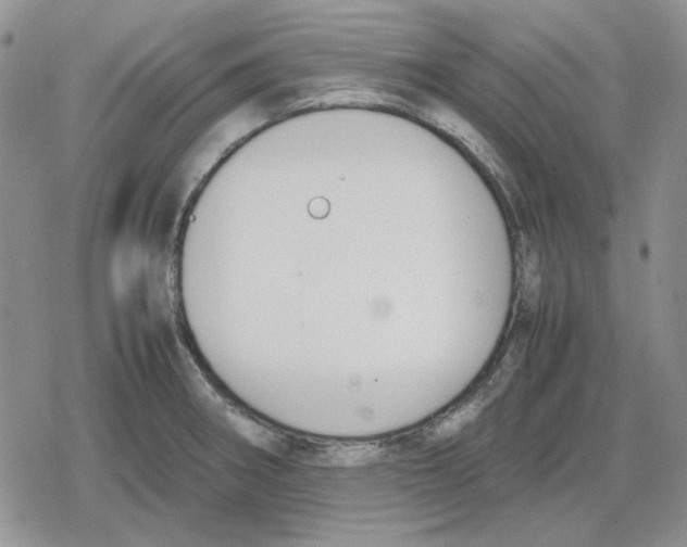 X0000079321282200612151808