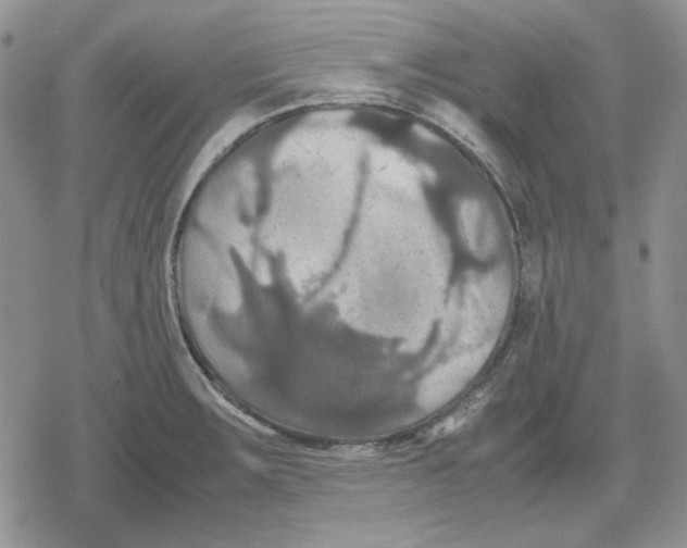 X0000079321283200612151808