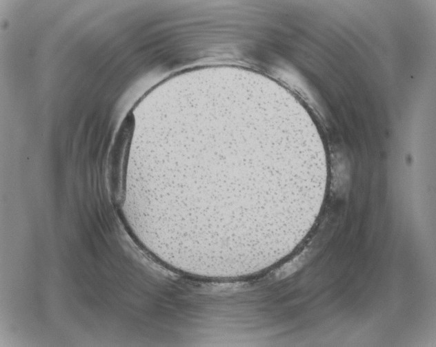 X0000079321284200612151808