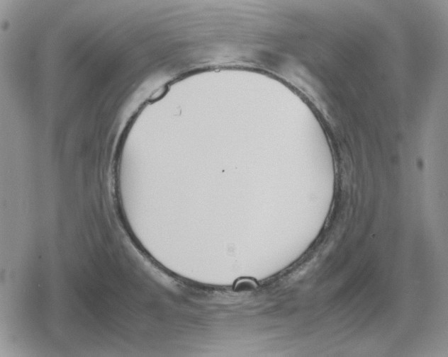 X0000079321285200612151808