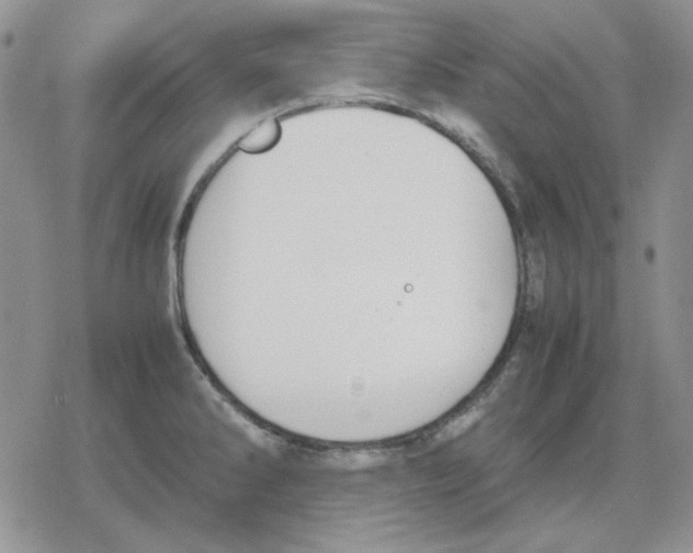 X0000079321286200612151808