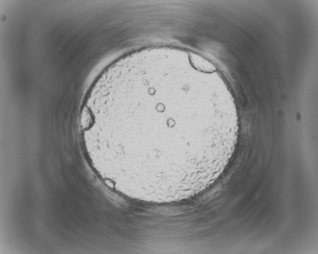 X0000079321287200612151808