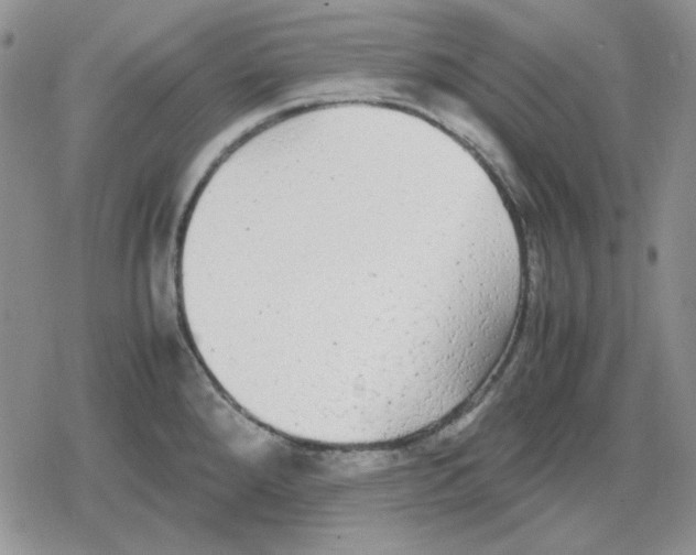 X0000079321288200612151808