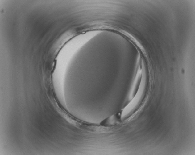 X0000079321289200612151808