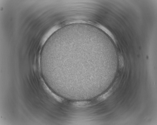 X0000079321290200612151808