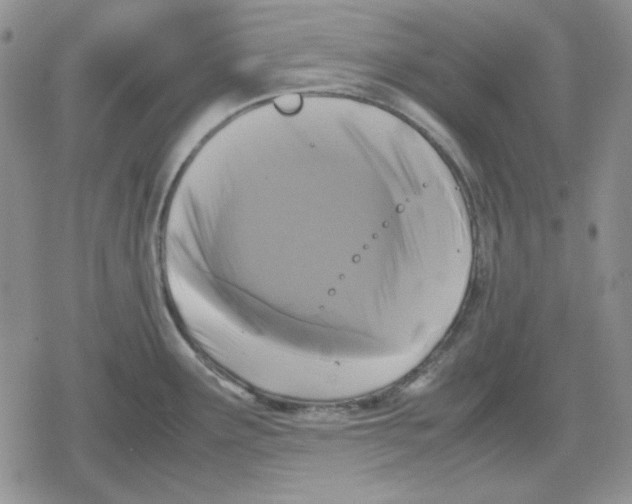 X0000079321291200612151808