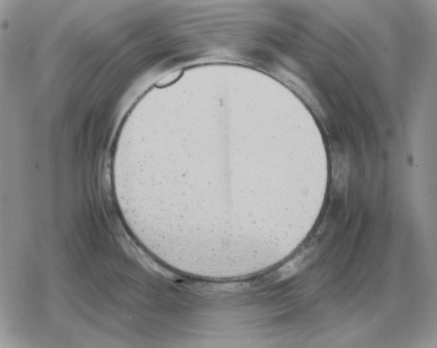 X0000079321292200612151808