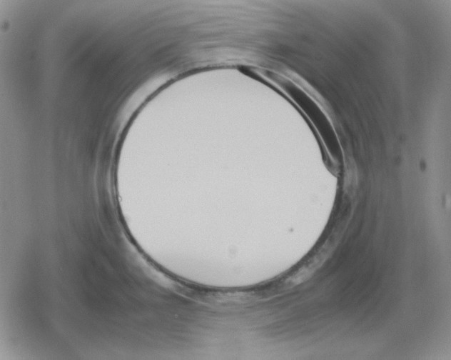 X0000079321293200612151808