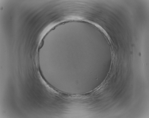 X0000079321295200612151808