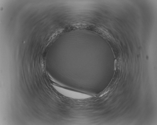 X0000079321298200612151807