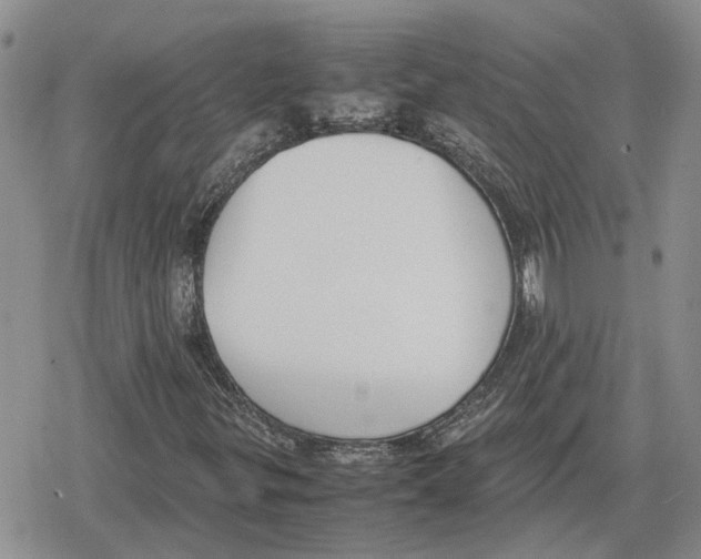 X0000079321299200612151807