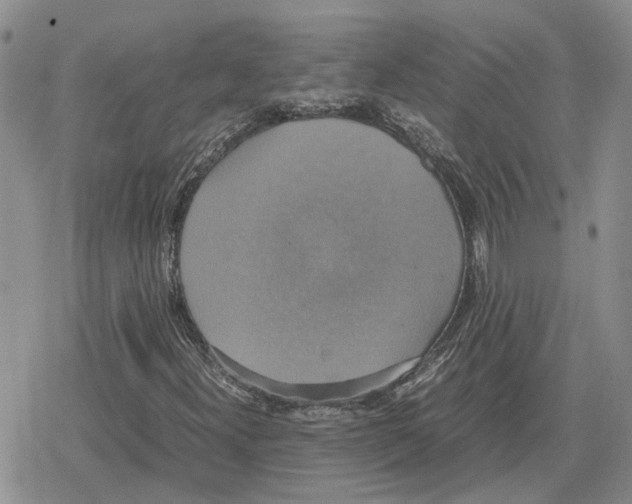 X0000079321300200612151807