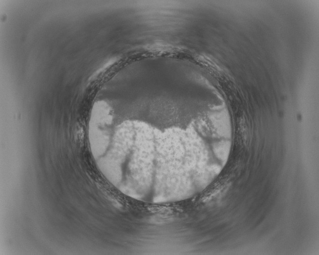 X0000079321302200612151807