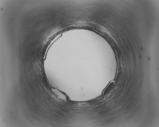 X0000079321304200612151807