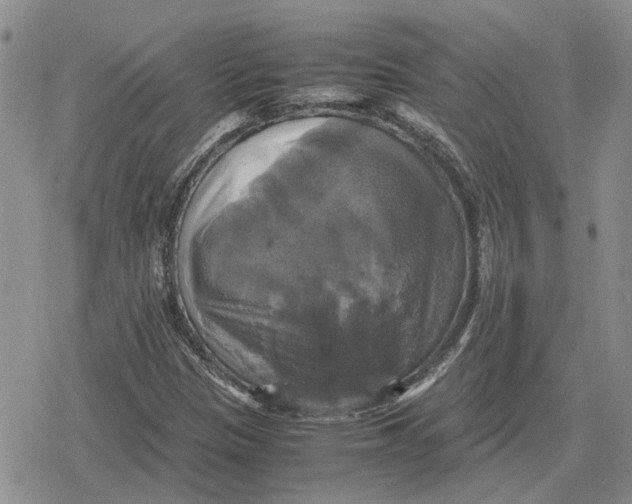 X0000079321305200612151807