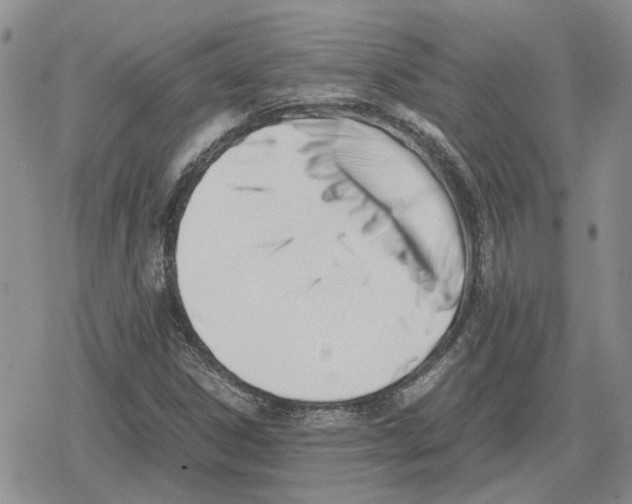 X0000079321306200612151807