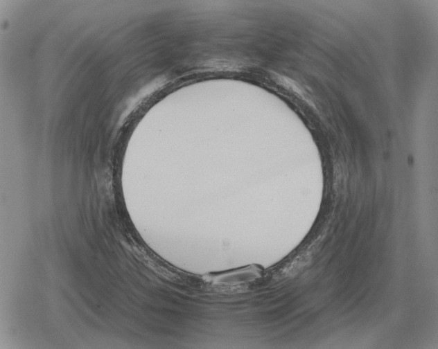 X0000079321307200612151807