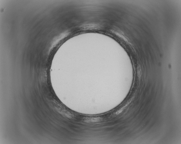 X0000079321309200612151807