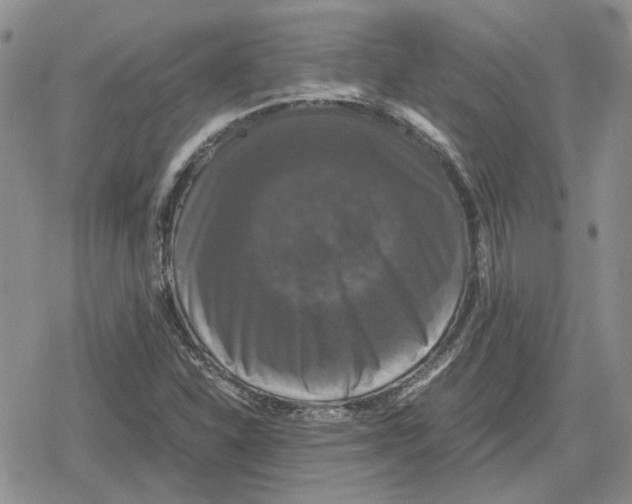 X0000079321310200612151807