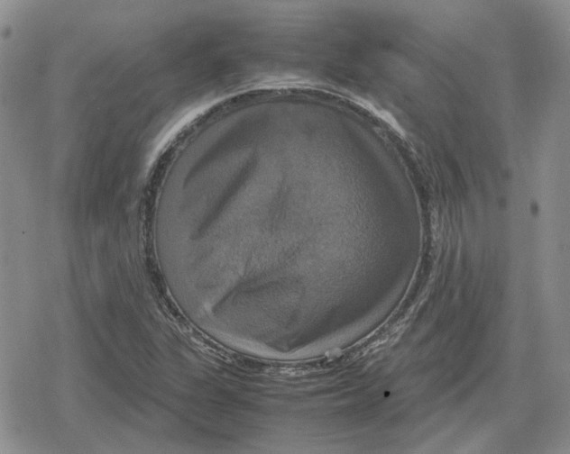 X0000079321311200612151807