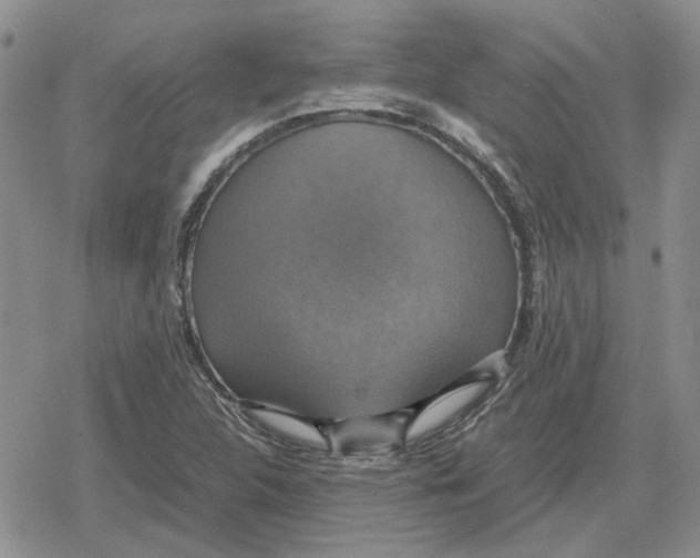 X0000079321312200612151807