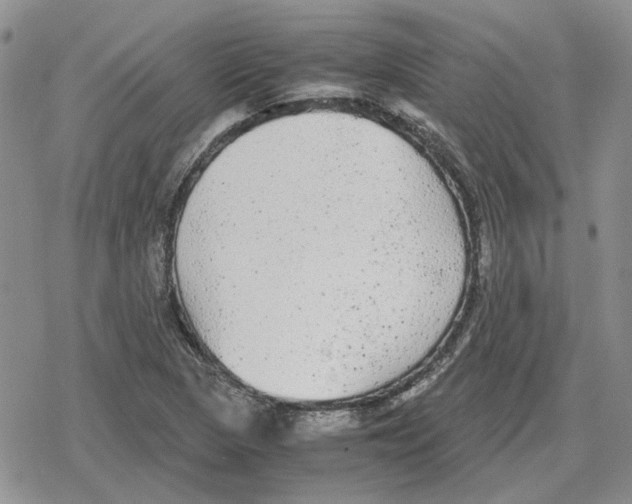 X0000079321313200612151807