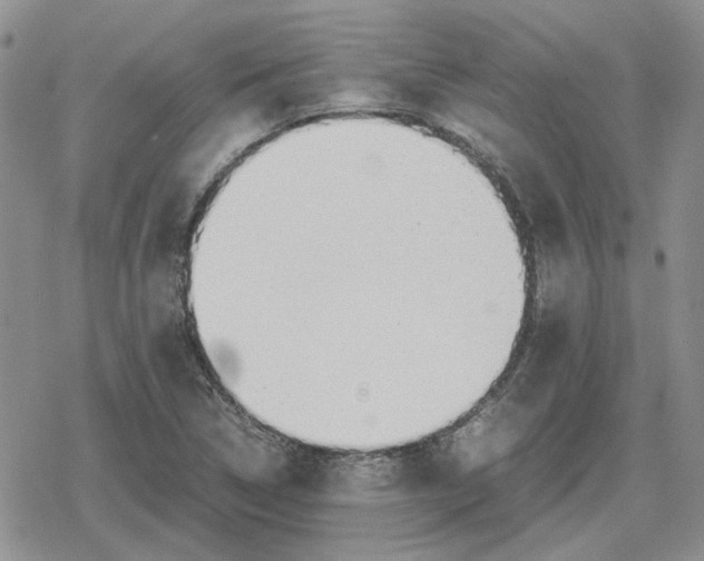 X0000079321314200612151807