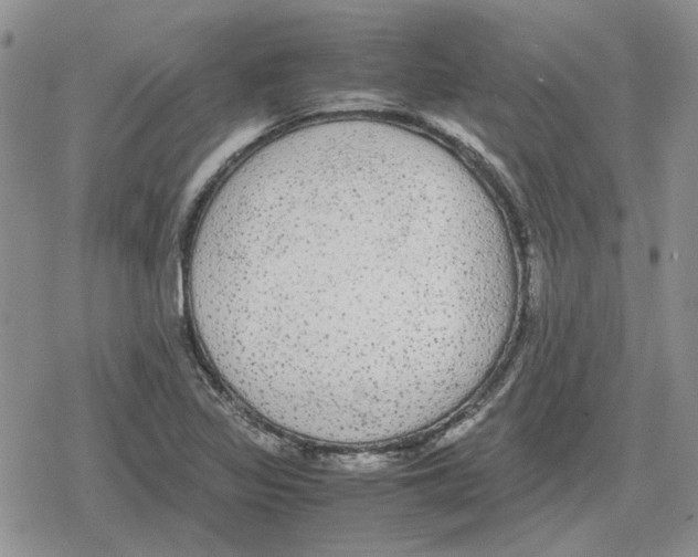 X0000079321317200612151807