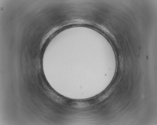 X0000079321318200612151807