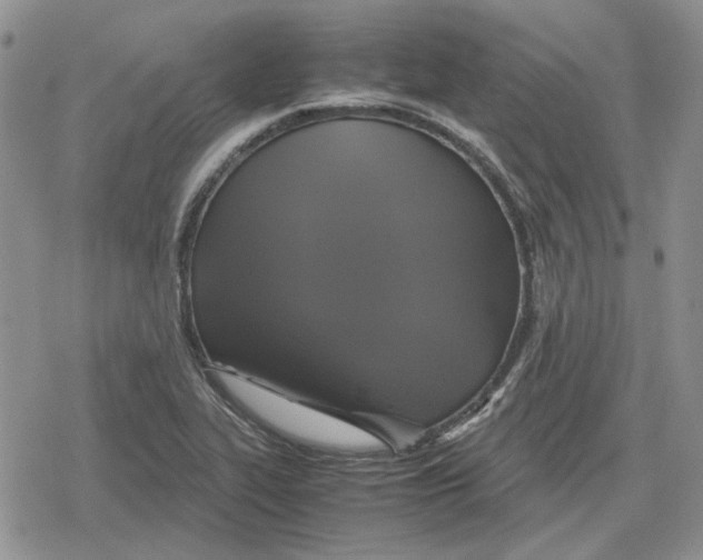 X0000079321319200612151807