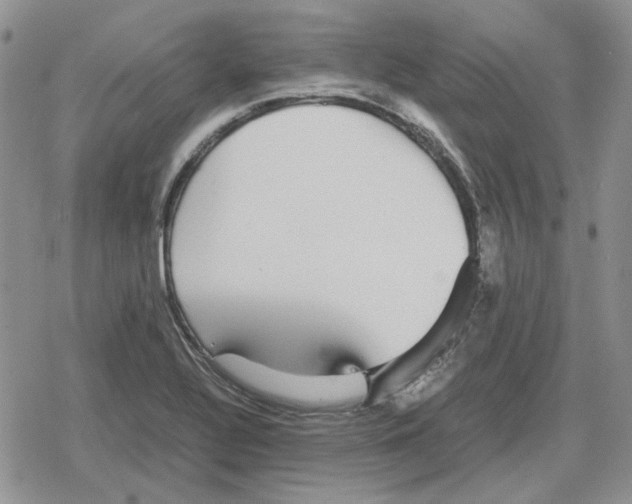 X0000079321320200612151807