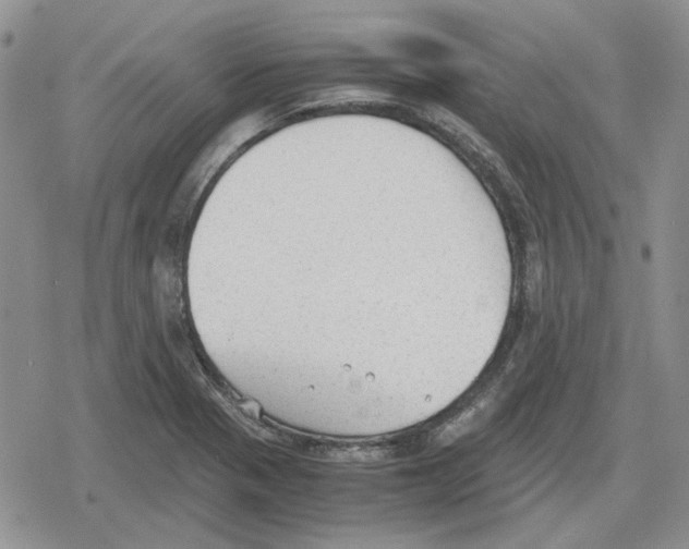 X0000079321321200612151807