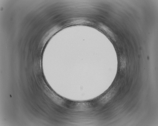 X0000079321322200612151807