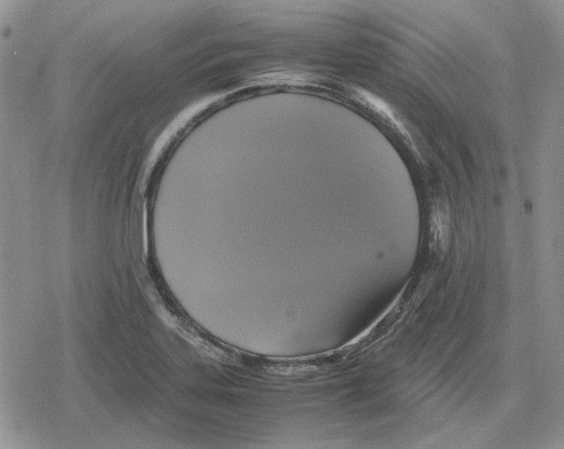 X0000079321323200612151807