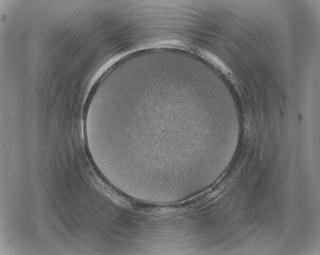 X0000079321324200612151807