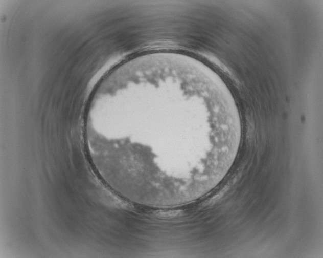 X0000079321325200612151807