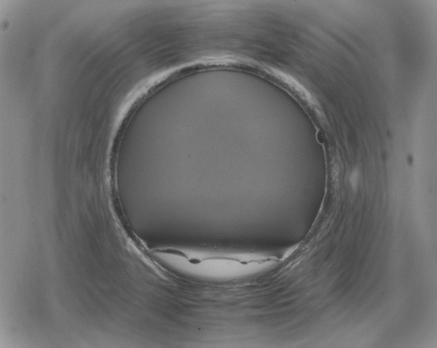 X0000079321327200612151807